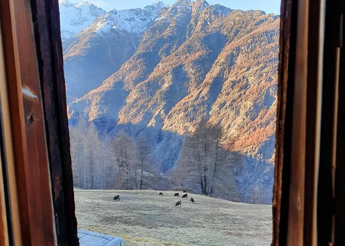 Gspon Oberwallis Appartamento